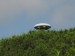 ufo nad lesom v Taliansku